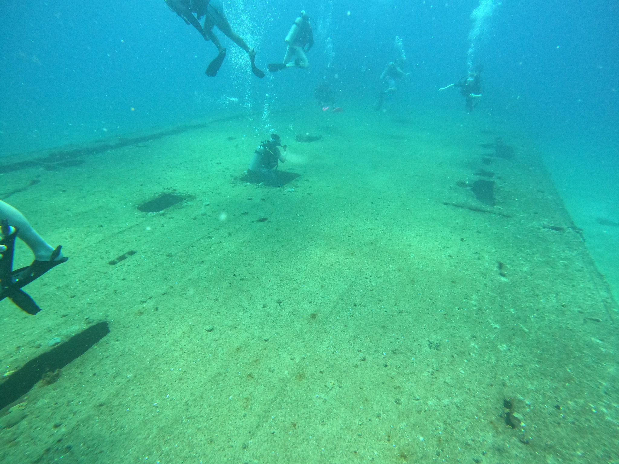 Fun Dive Fun Dive