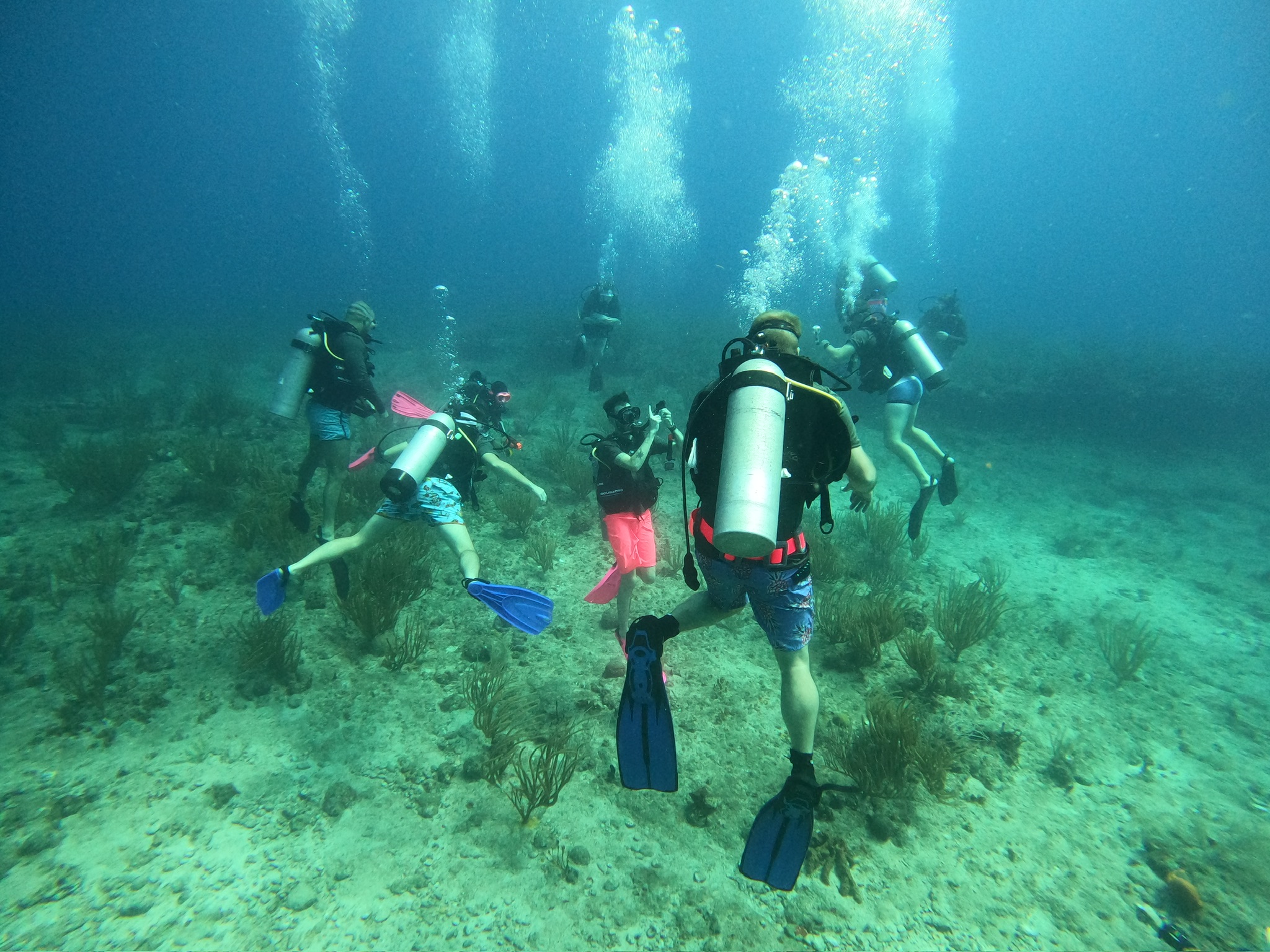 Fun Dive Fun Dive