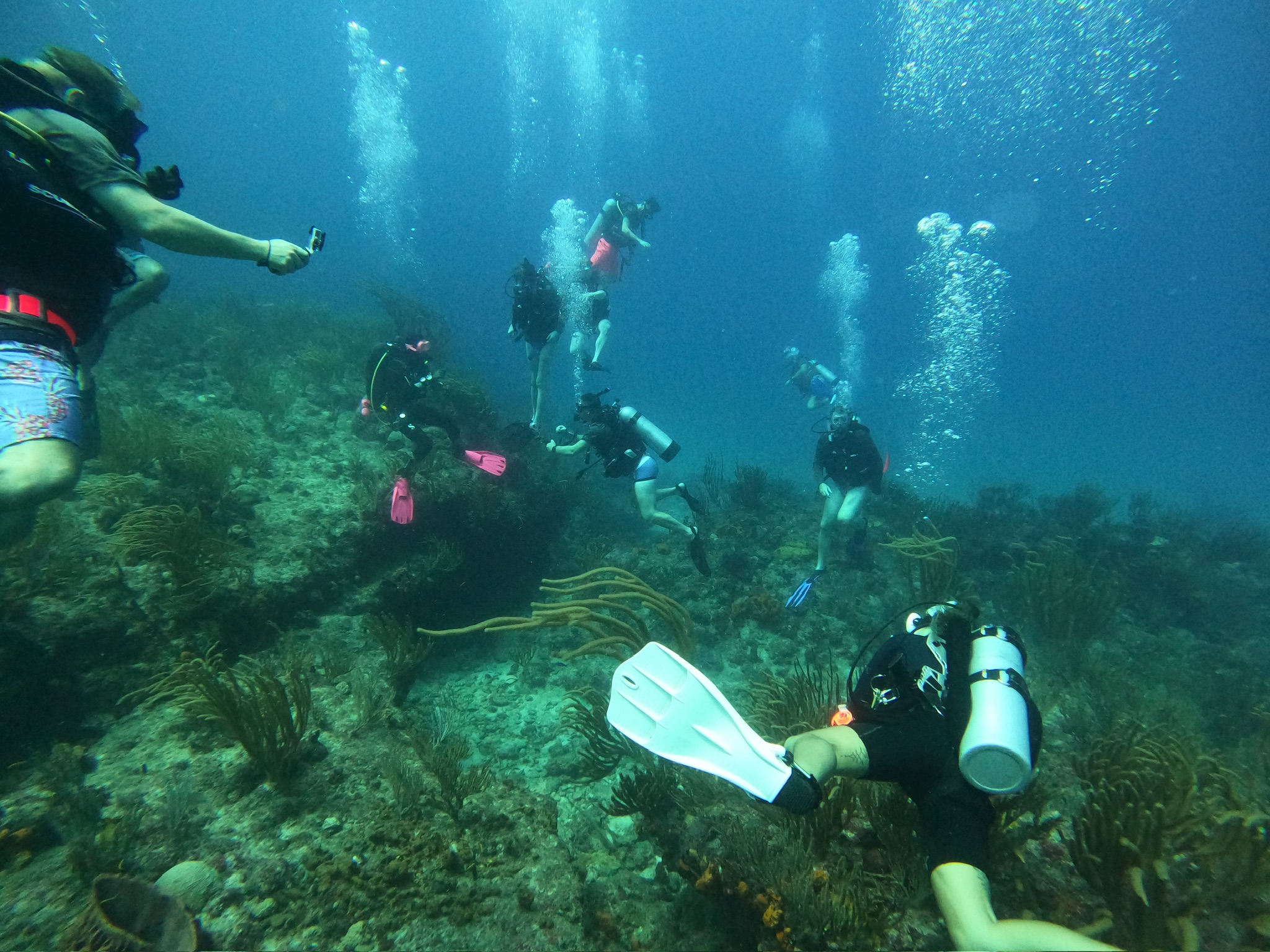 Advanced Open Water Couse Advanced Open Water Couse