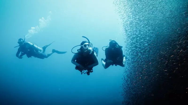 Deep Diver Deep Diver