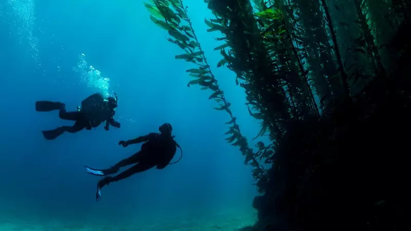 Deep Diver Deep Diver