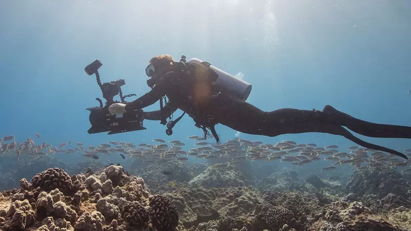 Digital Underwater Photography Digital Underwater Photography