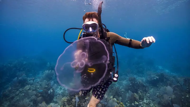 Digital Underwater Photography Digital Underwater Photography