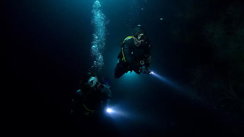 Night Dive Night Dive