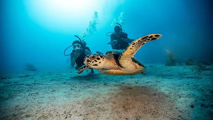 Basic Open Water PADI Course Basic Open Water PADI Course