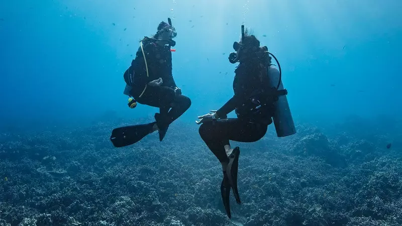 Peak Performance Buoyancy Peak Performance Buoyancy