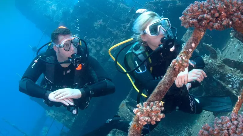 Wreck Diver Wreck Diver